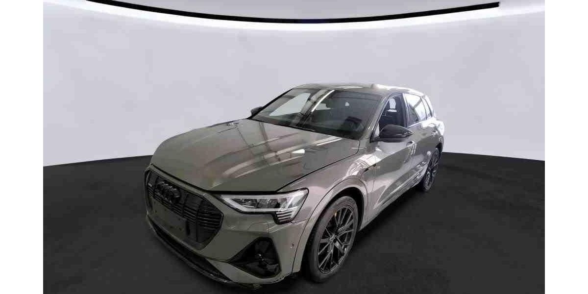 Audi e-tron 43.337 km 34.150 &euro; Hagen 58091