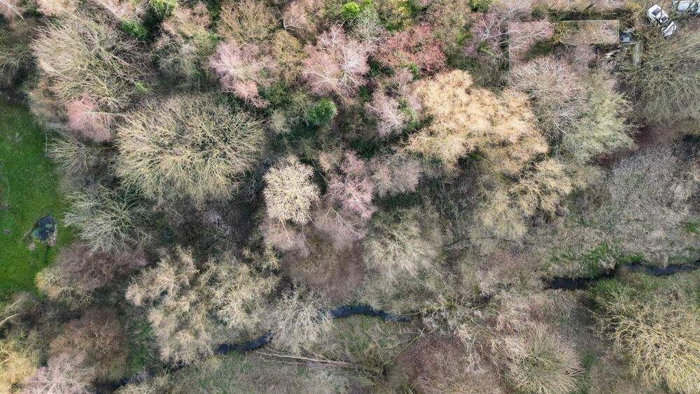 Grundstück Hattingen Blankenstein - 65.000&euro; | Angebot:25779558