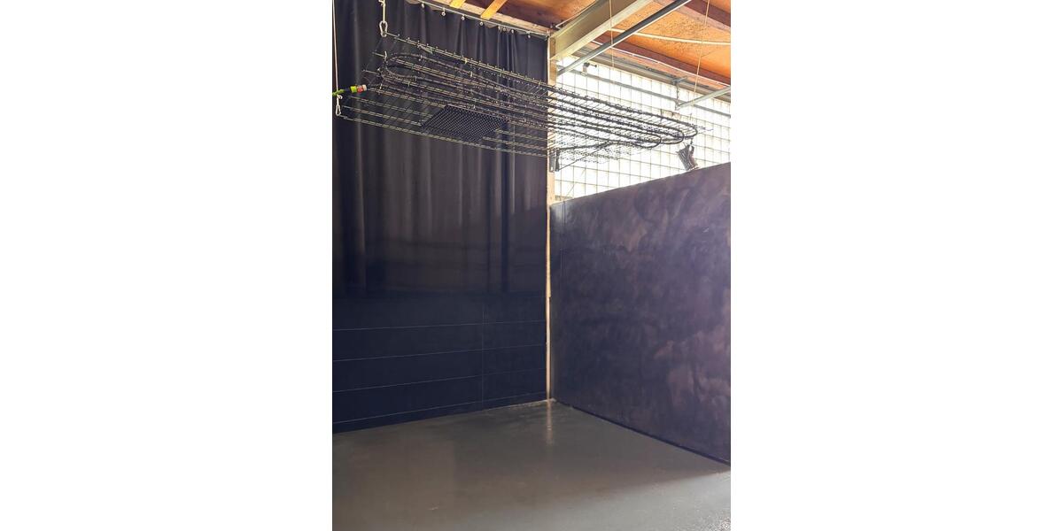 Gewerbeobjekt Mülheim an der Ruhr Heißen - 40&euro; | Angebot:25309885