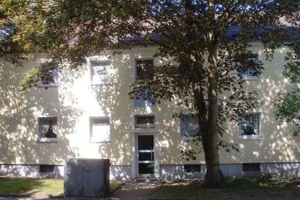 Wohnung Gelsenkirchen Scholven - 2.5 Zimmer, 53 m&sup2;, 296&euro; | Angebot:25813643