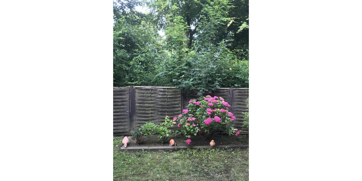 Etagenwohnung Essen Stadtbezirk IV - 3 Zimmer, 64 m&sup2;, 700&euro; | Angebot:25635884