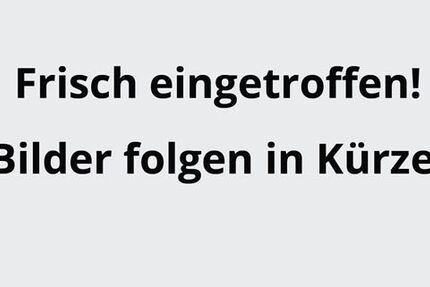 Ford Mustang Mach-E 15.000 km 49.900 &euro; Dorsten 46282