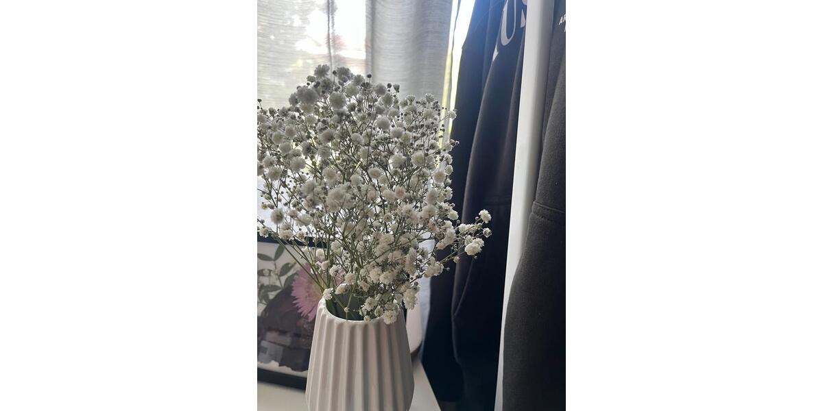 Etagenwohnung Dortmund Hombruch - 1 Zimmer, 23 m&sup2;, 350&euro; | Angebot:25900211