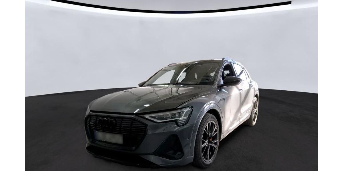 Audi e-tron 74.931 km 38.030 &euro; Hagen 58091