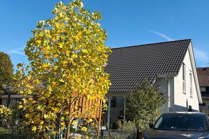 Haus Datteln - 4 Zimmer, 155 m&sup2;, 649.000&euro; | Angebot:25616680