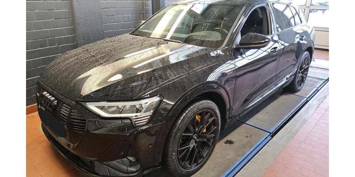 Audi e-tron 51.561 km 33.560 &euro; Hagen 58091