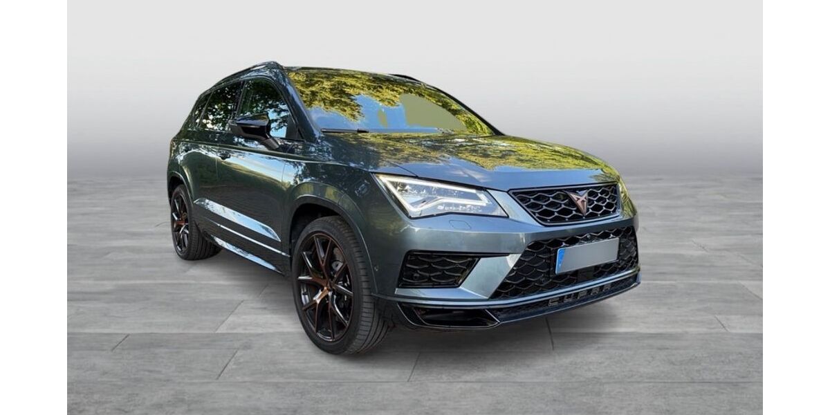 Cupra Ateca 91.600 km 23.400 &euro; Holzwickede 59439