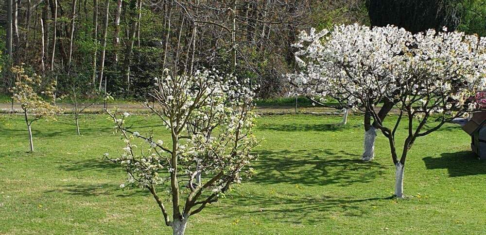 Mehrfamilienhaus, Wohnhaus Hagen Vorhalle - 630.000&euro; | Angebot:25739437