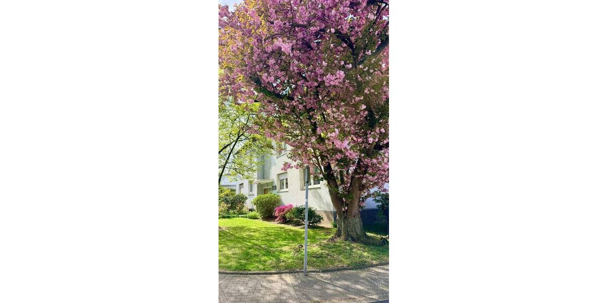Etagenwohnung Bochum Langendreer - 2 Zimmer, 52 m&sup2;, 550&euro; | Angebot:26376663