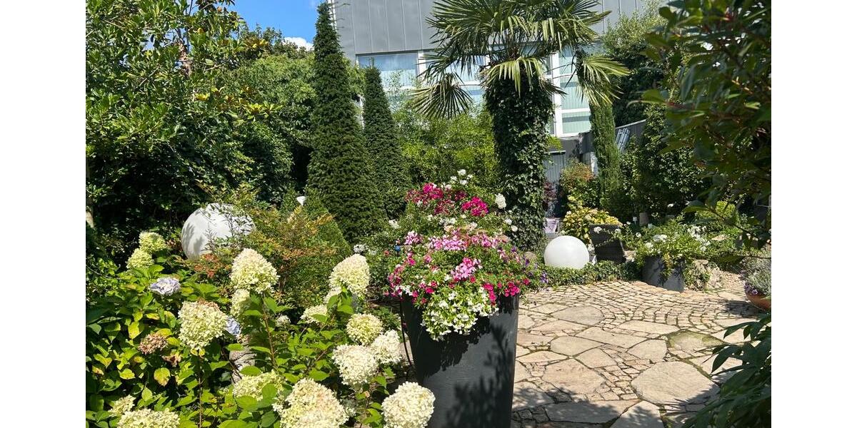 Dachgeschoßwohnung Bochum Bochum-Südwest - 3.5 Zimmer, 80 m&sup2;, 660&euro; | Angebot:25083103