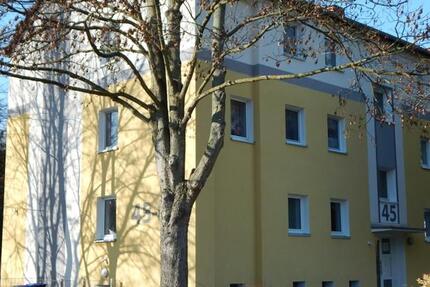 Wohnung Waltrop - 3 Zimmer, 66 m&sup2;, 525&euro; | Angebot:25571566