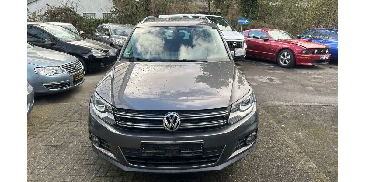 VW Tiguan 180.000 km 8.800 &euro; Recklinghausen 45659