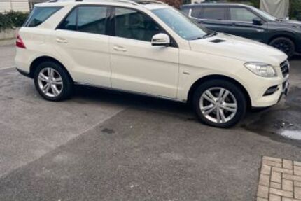 Mercedes-Benz ML 250 198.000 km 14.900 &euro; Velbert 42551