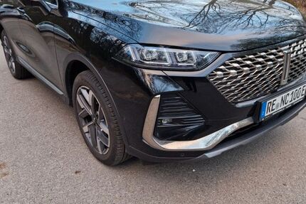 GWM Wey 03 4.800 km 39.000 &euro; Recklinghausen 45657