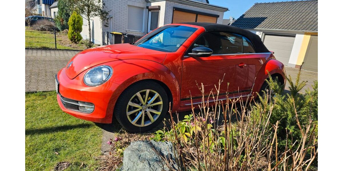 VW Beetle 53.260 km 17.300 &euro; Dortmund 44319