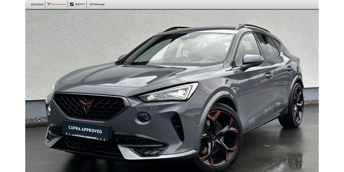 Cupra Formentor 73.240 km 29.890 &euro; Castrop-Rauxel 44579