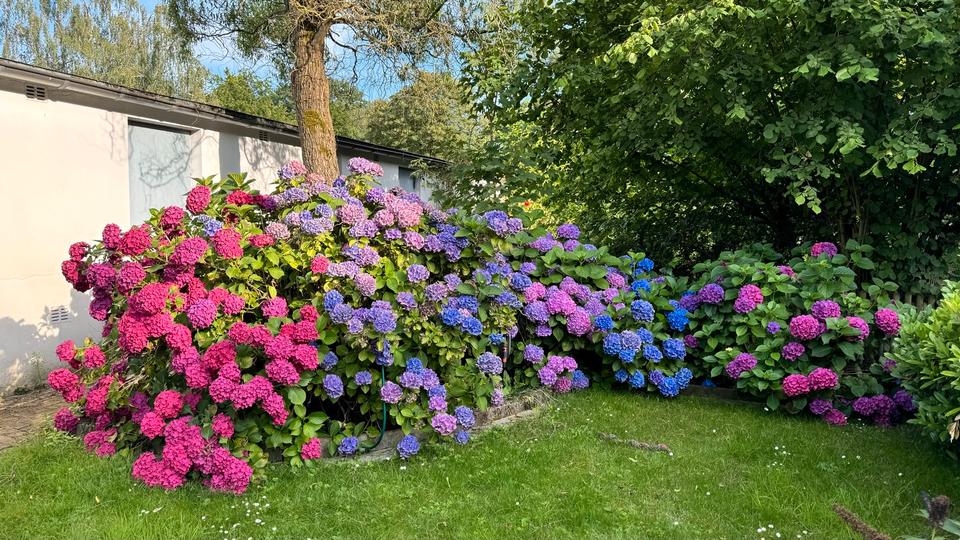 Etagenwohnung Marl - 6 Zimmer, 129 m&sup2;, 239.000&euro; | Angebot:25842501