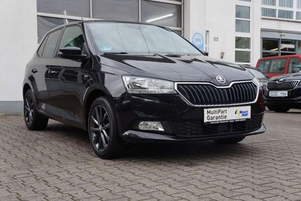 Skoda Fabia 113.230 km 10.990 &euro; Hagen 58119