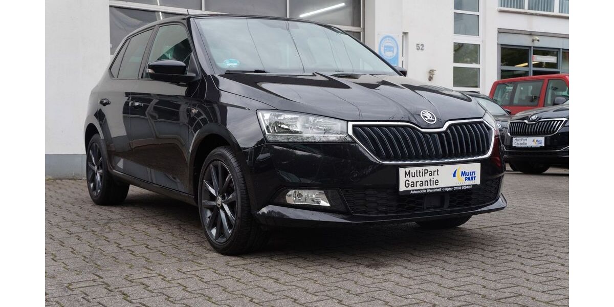 Skoda Fabia 113.230 km 10.990 &euro; Hagen 58119