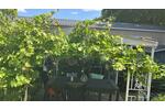 Ferienimmobilie Mülheim an der Ruhr Dümpten - 18.900&euro; | Angebot:26223075