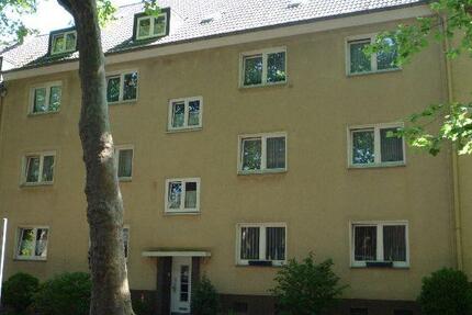 Wohnung Essen Stadtbezirk III - 2.5 Zimmer, 50 m&sup2;, 419&euro; | Angebot:25515266