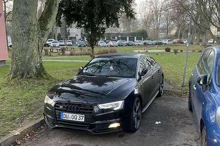 Audi S5 260.000 km 15.000 &euro; Westenfeld (Bochum) 44869
