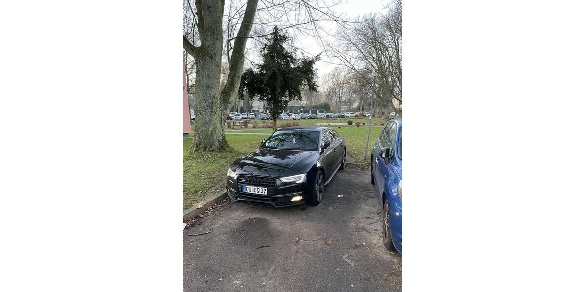 Audi S5 260.000 km 15.000 &euro; Westenfeld (Bochum) 44869
