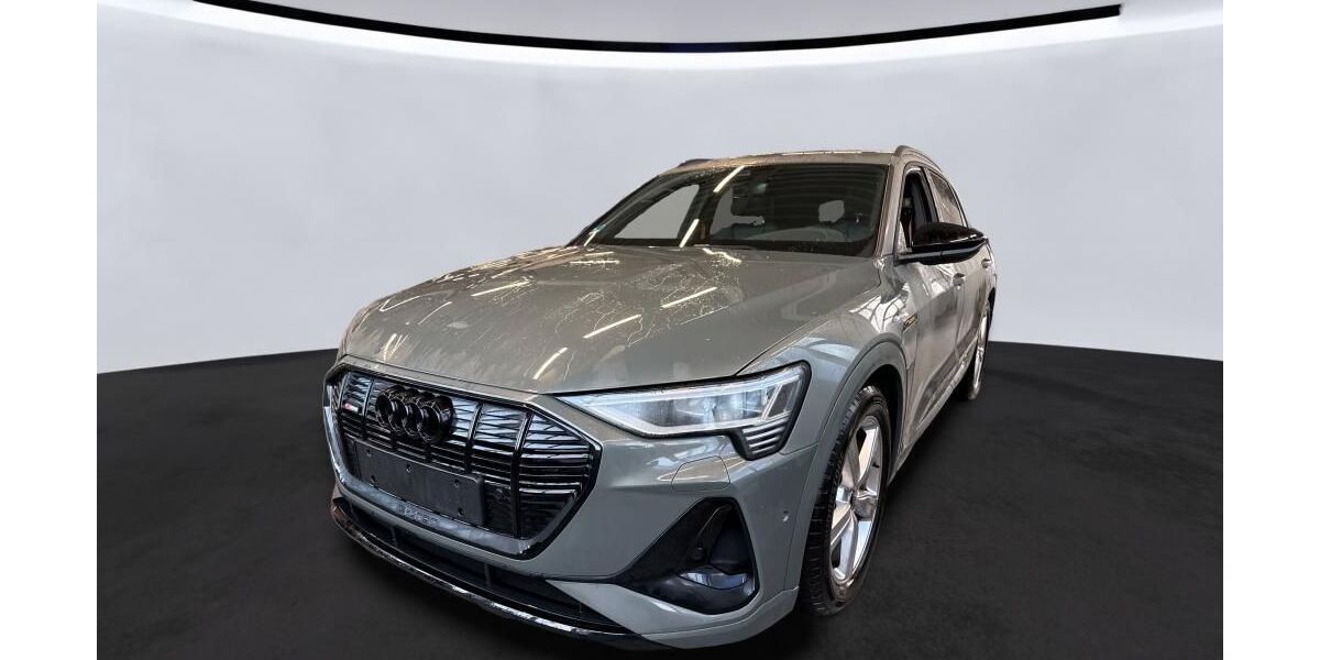 Audi e-tron 24.032 km 33.350 &euro; Hagen 58091